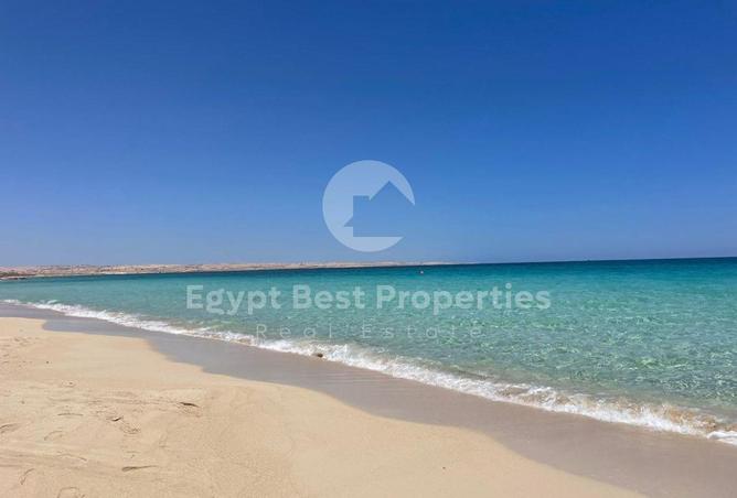 105168883 - Property Image 2