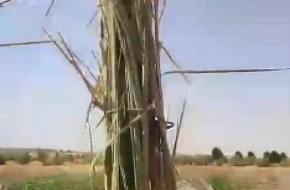 قطعة أرض - استوديو للبيع في مادينة السويس - السويس