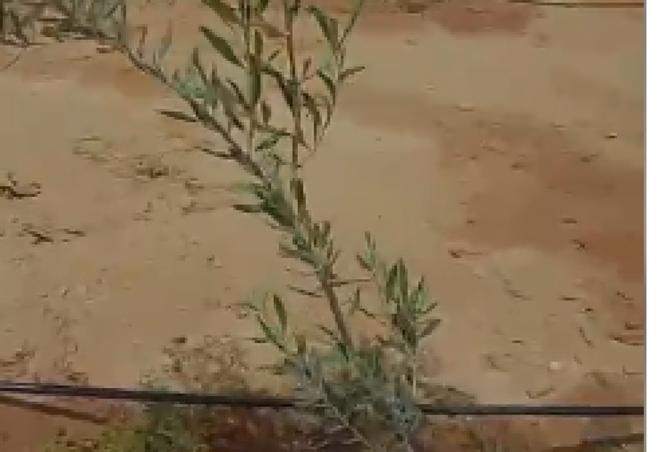102346077 - صورة العقار 3