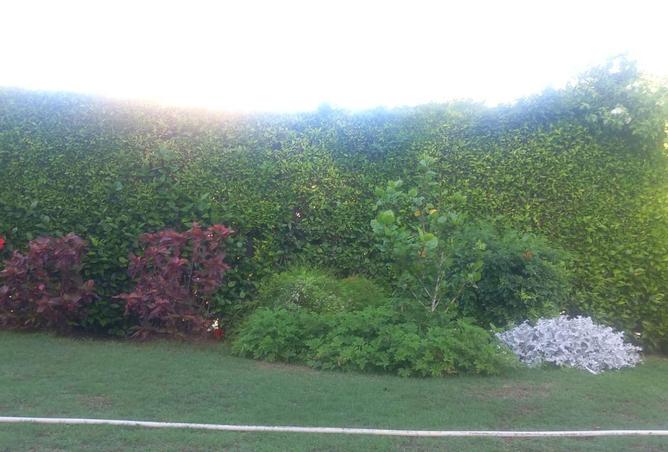 66425474 - صورة العقار 3