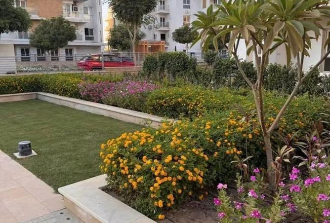 56243380 - صورة العقار 3