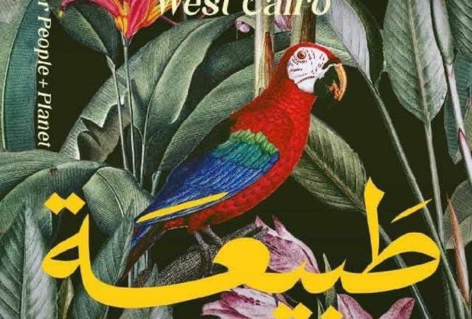 57492358 - الصورة الرئيسية للعقار