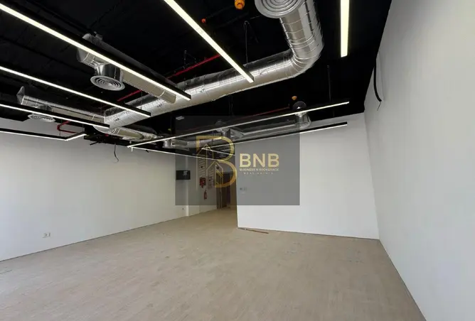 113544486 - Property Image 3