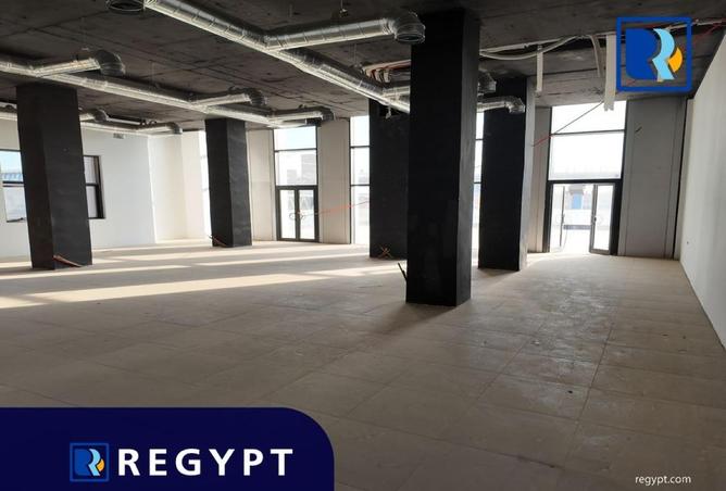 61441771 - Property Image 3