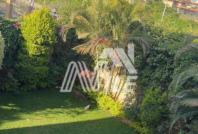 105733902 - Property Image 3