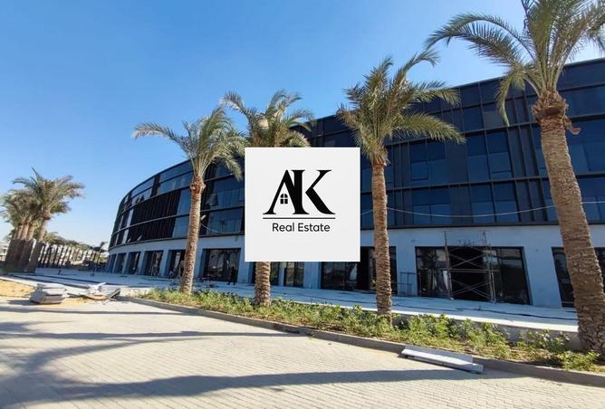 54239715 - Property Image 3