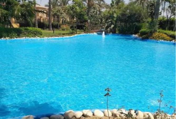 57251463 - صورة العقار 3