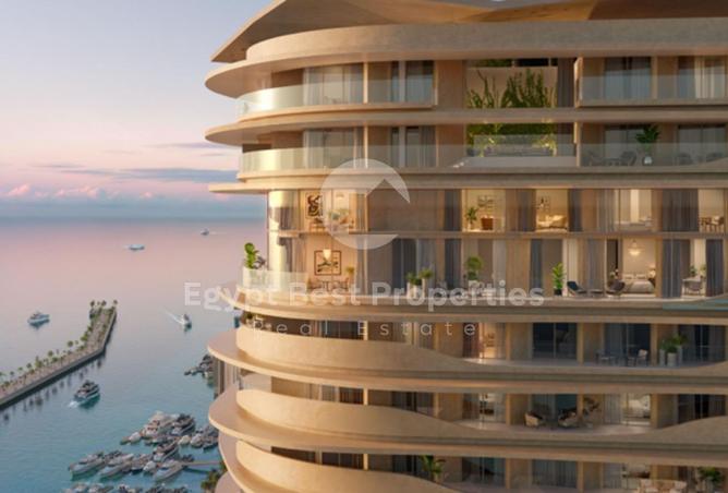 8713175 - صورة العقار 2