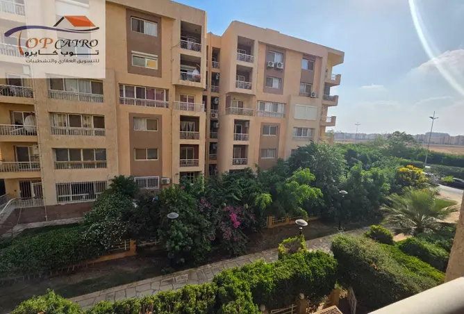 117785019 - Property Image 2
