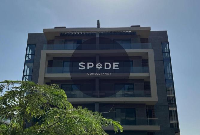 56250291 - Property Main Image