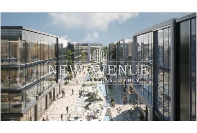 8688189 - Property Image 3