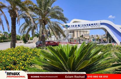 شقة - 4 غرف نوم - 3 حمامات للبيع في اليكس ويست - كمبوندات الاسكندرية - الاسكندرية شقة - 4 غرف نوم - 3 حمامات للبيع في اليكس ويست - كمبوندات الاسكندرية - الاسكندرية