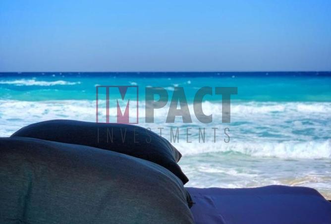 58257057 - صورة العقار 3