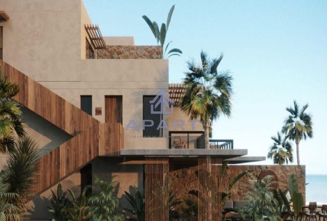 55993842 - Property Image 3