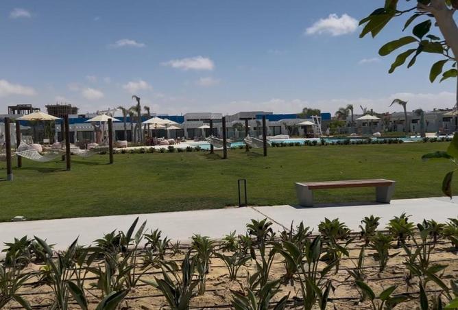64650701 - صورة العقار 3