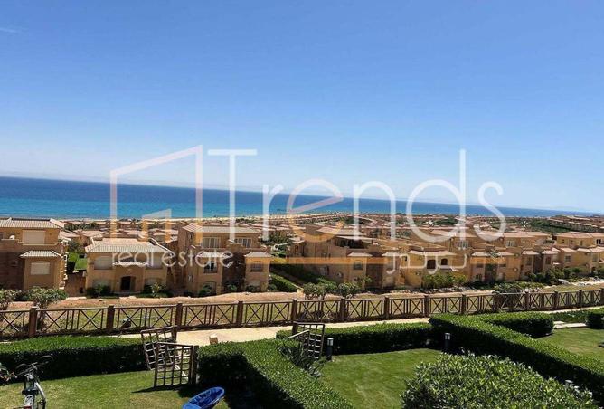 81567644 - صورة العقار 3