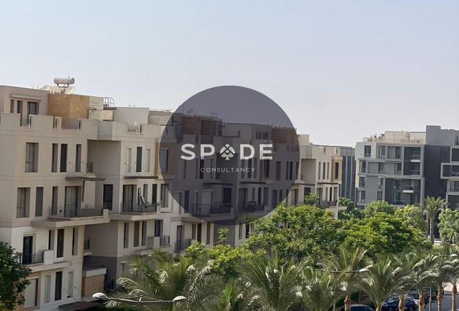 62403223 - Property Image 3