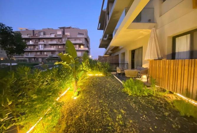 67479343 - Property Image 3