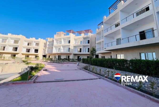 95484574 - Property Image 3