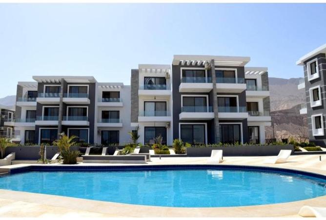 56257726 - Property Image 2