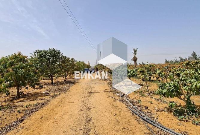 66333248 - صورة العقار 2