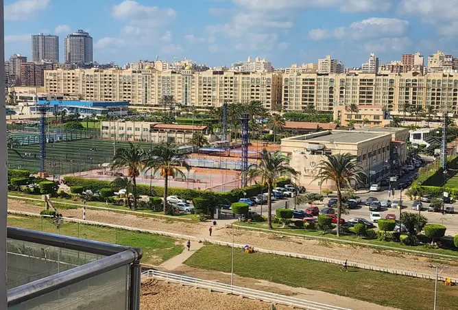 113256882 - صورة العقار 2