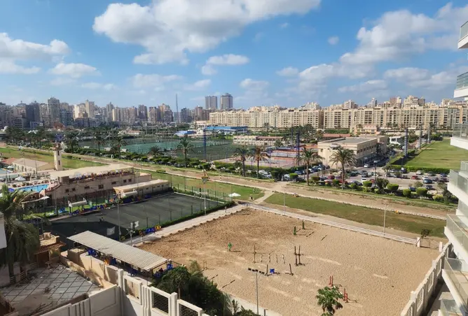113256882 - صورة العقار 3