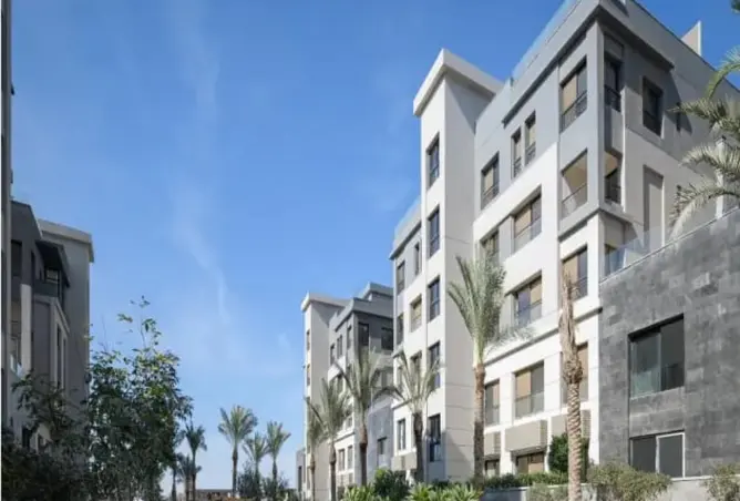 113824673 - Property Image 3
