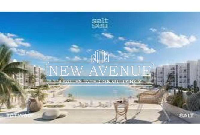 8597610 - Property Image 3