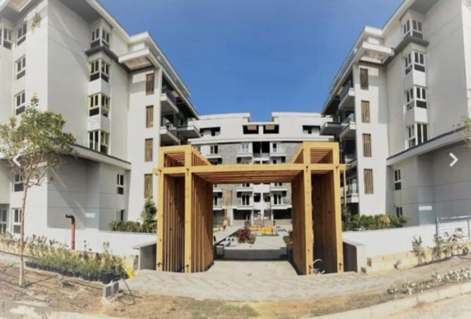 61684477 - Property Image 3