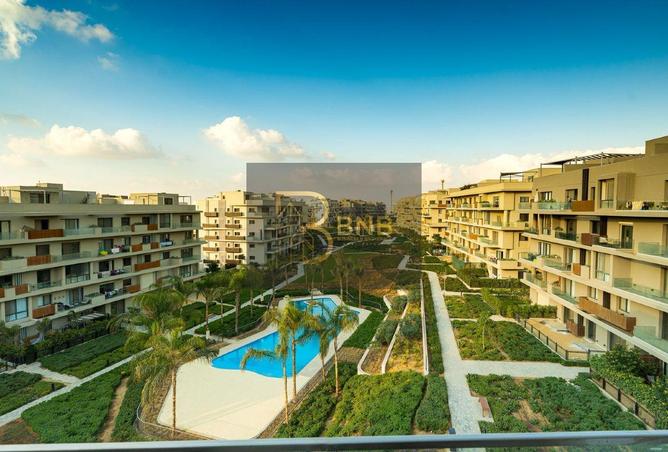 55258721 - Property Image 3