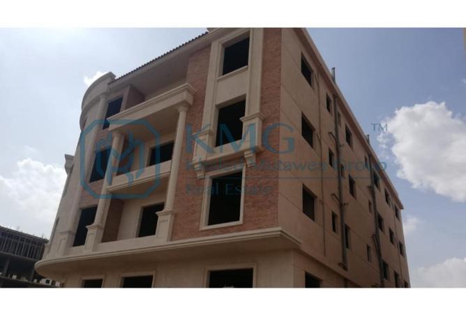 8672858 - صورة العقار 2