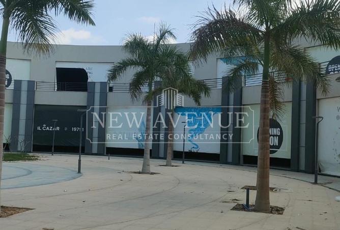 99113269 - Property Image 3