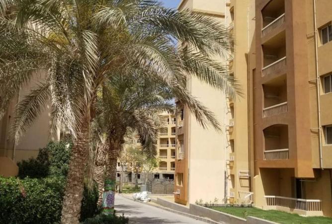 58243490 - الصورة الرئيسية للعقار