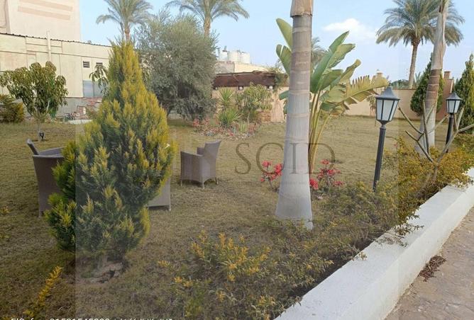 93541355 - صورة العقار 3