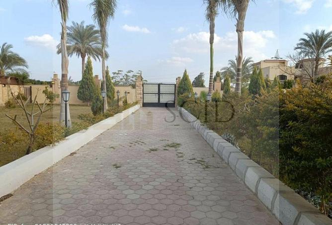 93541355 - صورة العقار 2