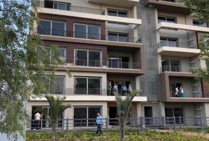 54486979 - Property Image 3