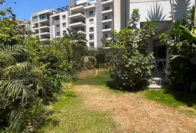 113255175 - Property Image 2