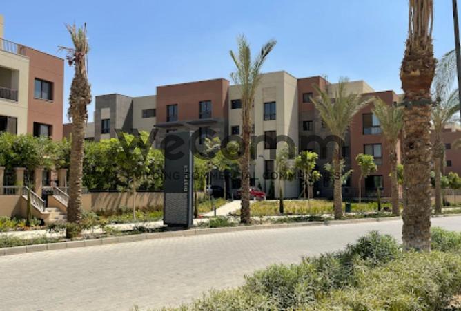 62403071 - Property Image 3