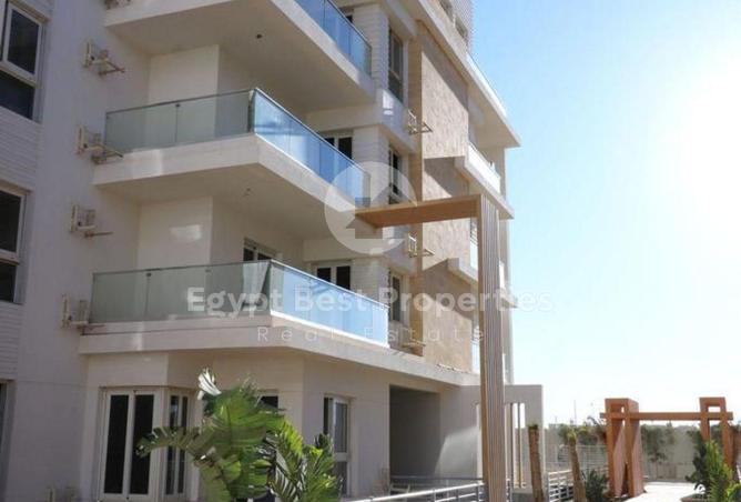 56497979 - Property Main Image