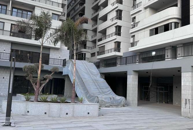 58738745 - صورة العقار 2