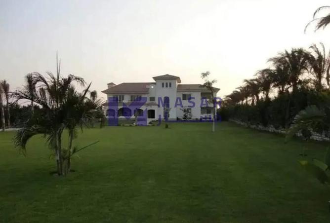 8687974 - صورة العقار 3