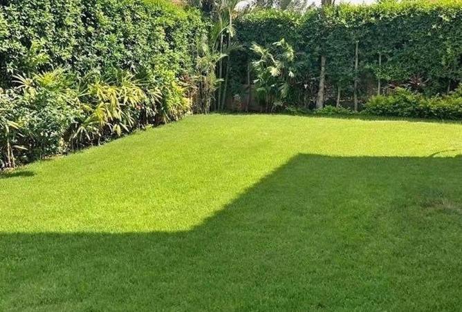 61441772 - صورة العقار 3