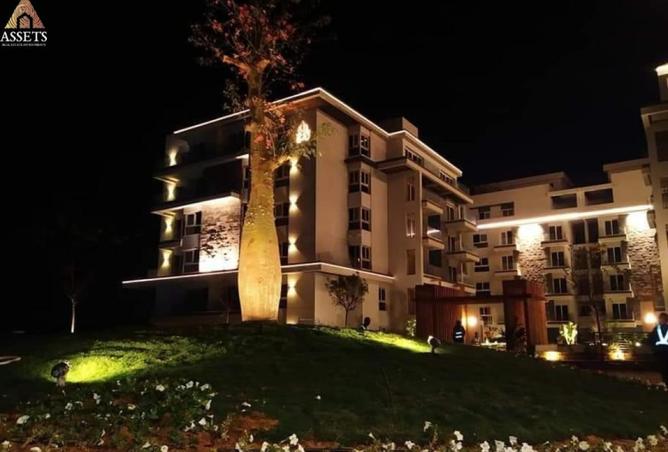 53466904 - صورة العقار 3