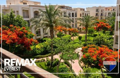 Apartment - 3 Bedrooms - 2 Bathrooms for rent in Hadayek Al Mohandessin - 4th District - Sheikh Zayed City - Giza