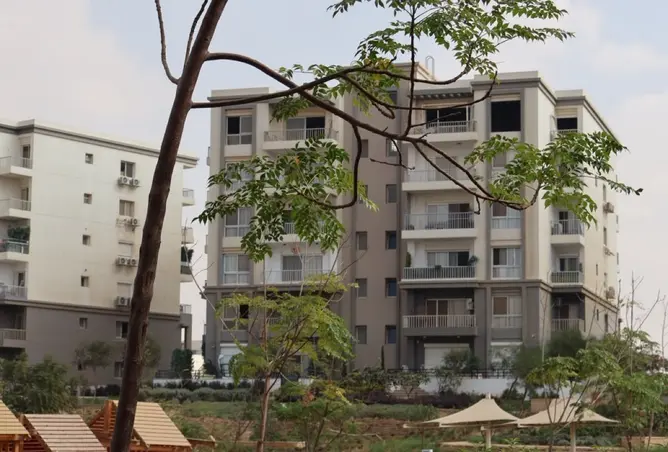 120889454 - Property Image 3