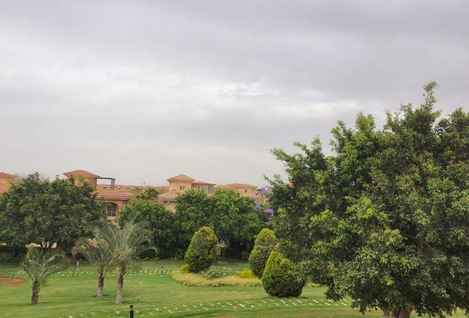 96309199 - صورة العقار 3