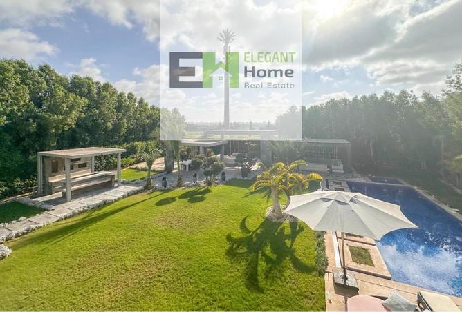 57484811 - Property Image 2