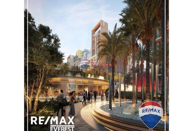 58249090 - Property Image 2