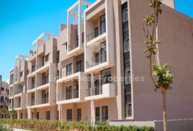 8629722 - Property Image 3